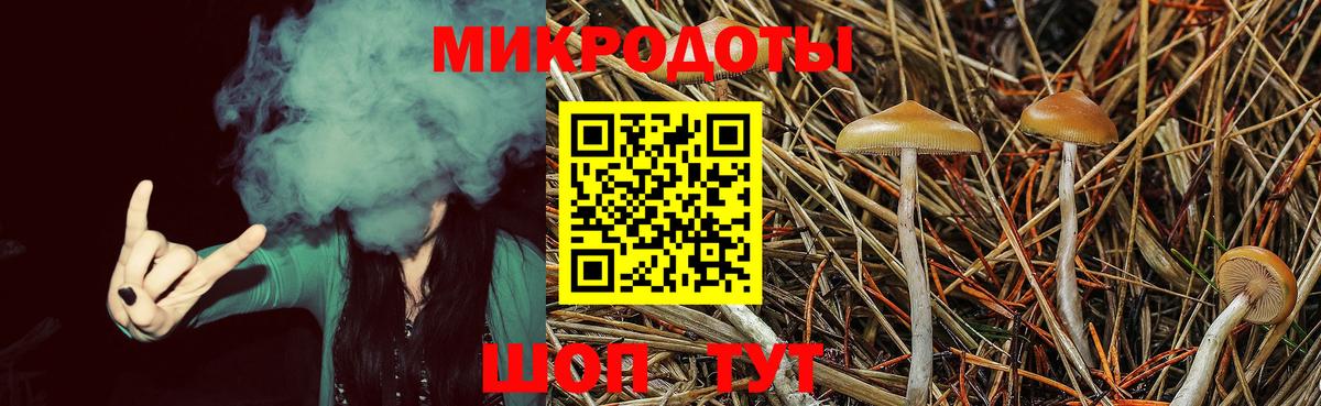 Псилоцибиновые грибы MAGIC MUSHROOMS  Псилоцибиновые грибы Psilocybe  наркошоп  Советский  Вход с VPN 